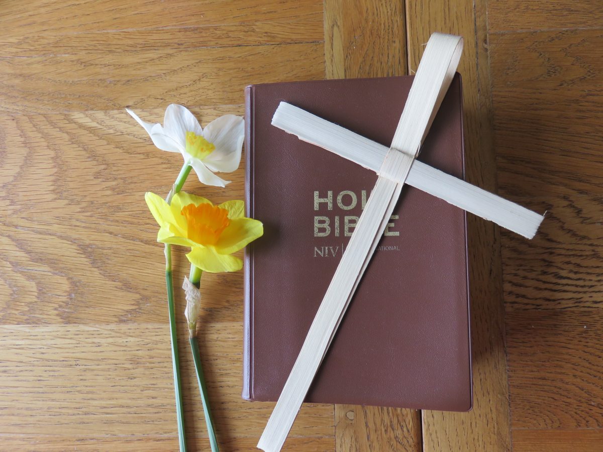 A bible with a palm cross on it, with two daffodials